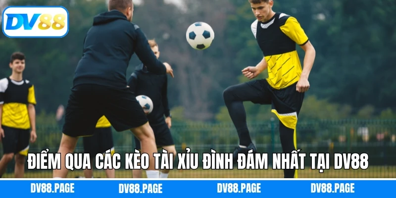 Kèo Tài Xỉu - Tỷ Lệ Cược Thắng Lớn, Kịch Tính Tại DV88 2 Điểm qua các kèo tài xỉu đình đám nhất tại DV88