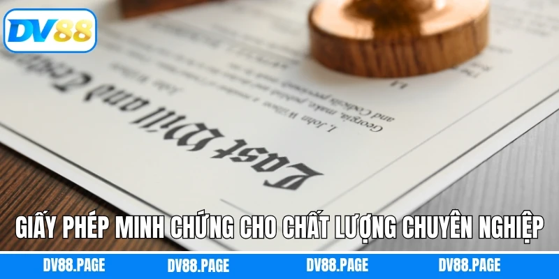 Giấy Phép Dv88 1 Giấy phép minh chứng cho chất lượng chuyên nghiệp