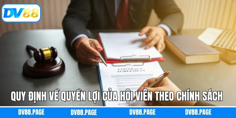 Điều Khoản Và Điều Kiện Dv88 3 Quy định về quyền lợi của hội viên theo chính sách nhà cái