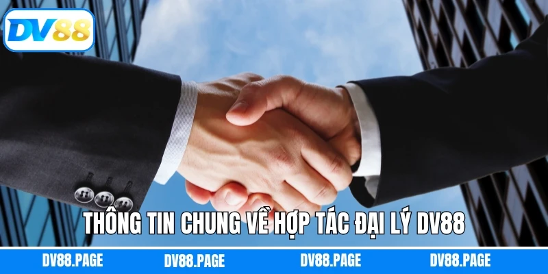 Thông tin chung về hợp tác đại lý Dv88