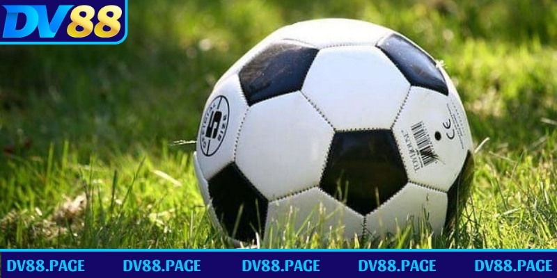 Hướng dẫn cách đọc kèo bóng đá châu Á cho dân chơi mới