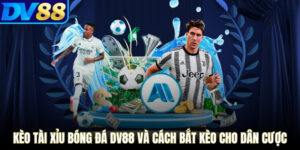 Kèo Tài Xỉu Bóng Đá DV88