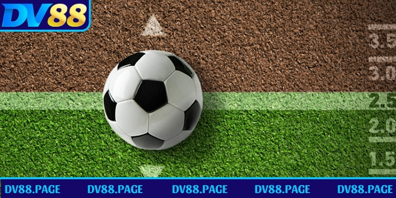 Cách chơi cược tổng số bàn thắng